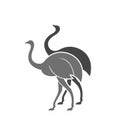 Ostrich logo. Isolated ostrich on white background